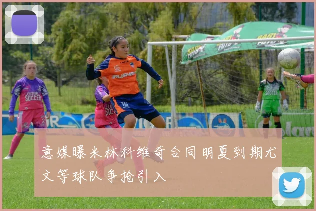 意媒曝米林科维奇合同明夏到期尤文等球队争抢引入