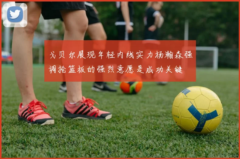 戈贝尔展现年轻内线实力杨瀚森强调抢篮板的强烈意愿是成功关键