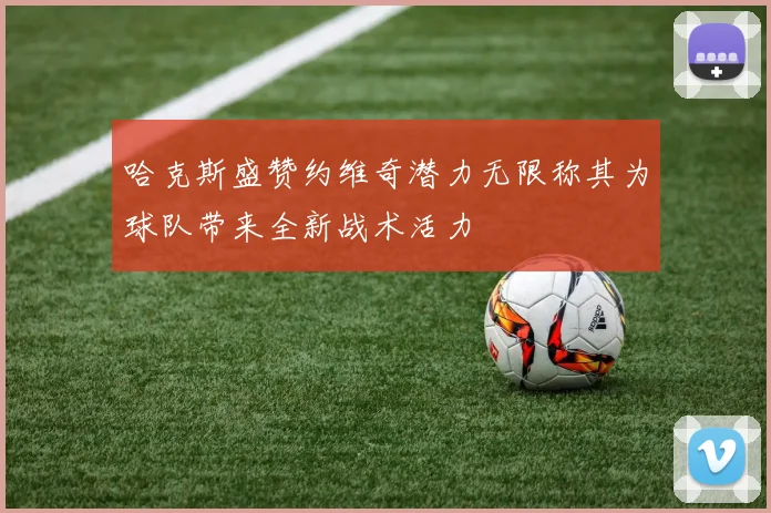 哈克斯盛赞约维奇潜力无限称其为球队带来全新战术活力
